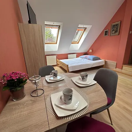 - Z Aneksem Kuchennym - Kuznia Rybaka Homestay Grzybowo (West Pomeranian)